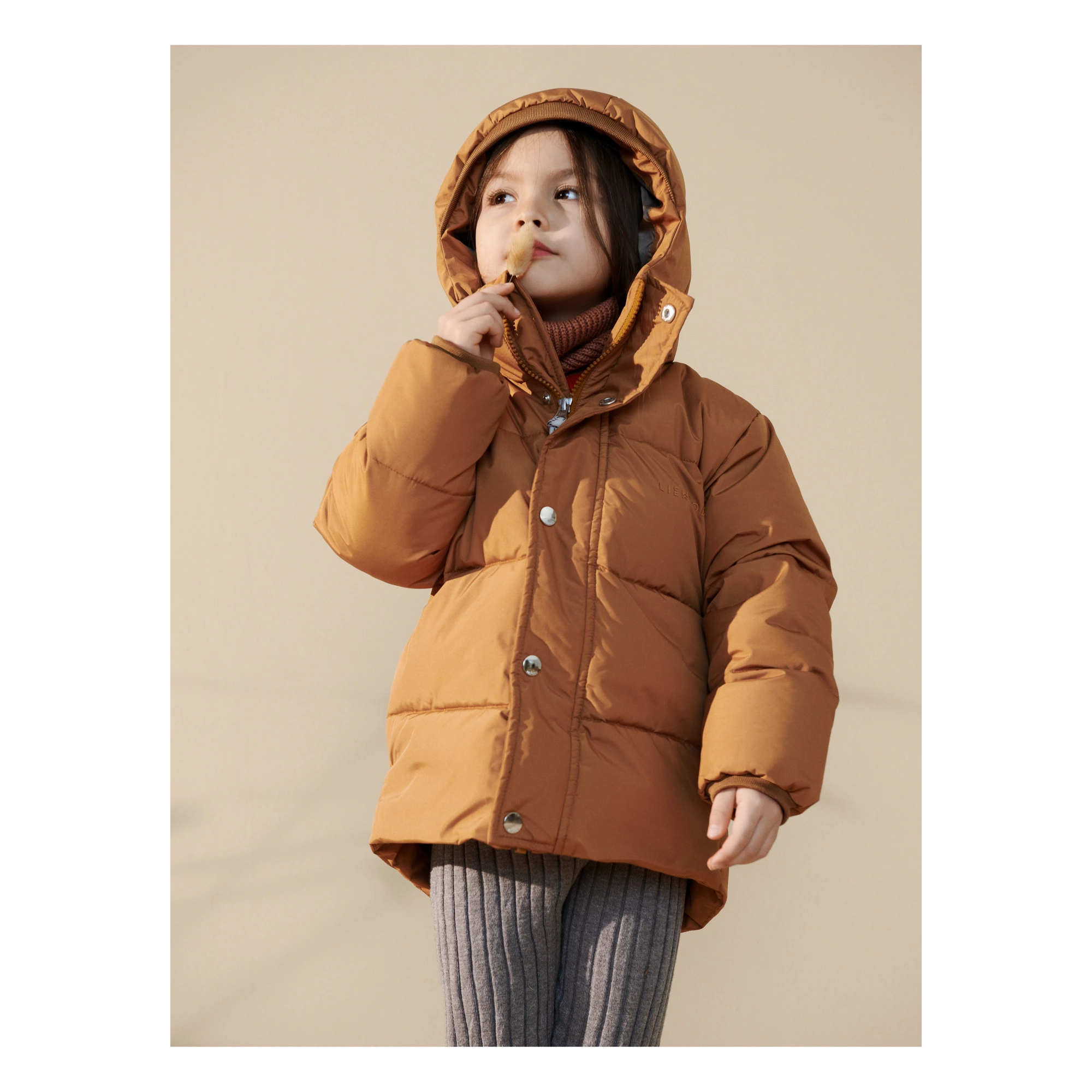 Palle Recycled Polyester Jacket Camel Liewood Fashion Children 2 Palle Recycled Polyester Jacket Camel Liewood Fashion Children - Image 2